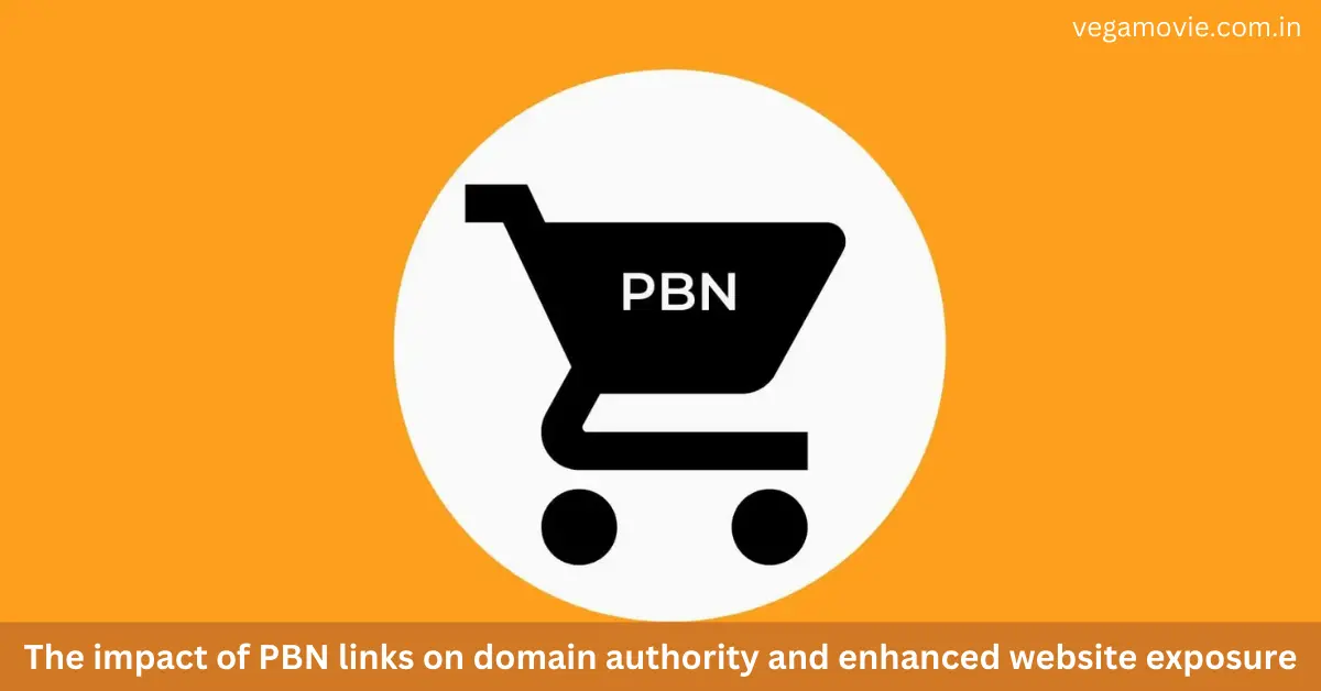 The impact of PBN links on domain authority and enhanced website exposure