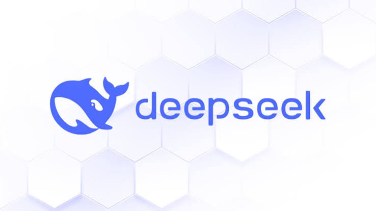 Deepseekplay.com Review: A Detailed Analysis of Features and Experience